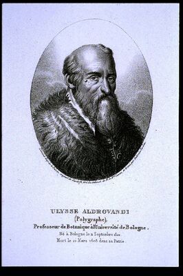 Prenten\1200\1246.jpg; P01246; ;